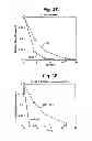 Fig. 07 - MUTANT LUCIFERASE