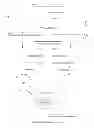 Fig. 06 - METHOD FOR PRODUCING A RECOMBINANT PROTEIN OF INTEREST