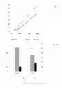 Fig. 09 - METHOD FOR PRODUCING A RECOMBINANT PROTEIN OF INTEREST