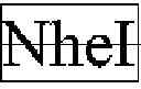 Fig. 04 - Methods of generating libraries and uses thereof