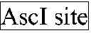Fig. 08 - Methods of generating libraries and uses thereof
