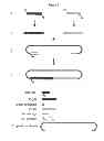 Fig. 04 - Compositions and methods for creating altered and improved cells and organisms