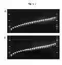 Fig. 08 - Compositions and methods for creating altered and improved cells and organisms