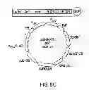 Fig. 12 - METHODS AND COMPOSITIONS FOR SEAMLESS CLONING OF NUCLEIC ACID MOLECULES