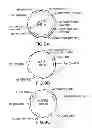 Fig. 14 - METHODS AND COMPOSITIONS FOR SEAMLESS CLONING OF NUCLEIC ACID MOLECULES