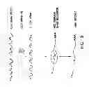 Fig. 22 - METHODS AND COMPOSITIONS FOR SEAMLESS CLONING OF NUCLEIC ACID MOLECULES