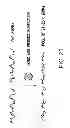 Fig. 31 - METHODS AND COMPOSITIONS FOR SEAMLESS CLONING OF NUCLEIC ACID MOLECULES