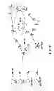 Fig. 42 - METHODS AND COMPOSITIONS FOR SEAMLESS CLONING OF NUCLEIC ACID MOLECULES