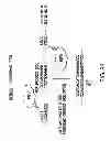 Fig. 45 - METHODS AND COMPOSITIONS FOR SEAMLESS CLONING OF NUCLEIC ACID MOLECULES