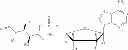 Fig. 49 - Nucleotide analogs and process for making same enzyme