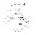 Fig. 01 - Method for producing retinoid from microorganism