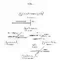 Fig. 03 - Method for producing retinoid from microorganism