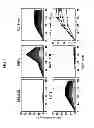 Fig. 06 - Method for producing retinoid from microorganism