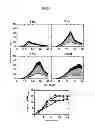 Fig. 07 - Method for producing retinoid from microorganism