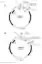 Fig. 08 - REPLICATING EXPRESSION VECTOR AND METHODS