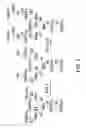 Fig. 04 - Factor IX:  Remodeling and Glycoconjugation of Factor IX