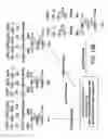 Fig. 22 - Factor IX:  Remodeling and Glycoconjugation of Factor IX
