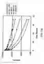 Fig. 435 - Factor IX:  Remodeling and Glycoconjugation of Factor IX