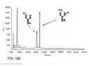 Fig. 451 - Factor IX:  Remodeling and Glycoconjugation of Factor IX