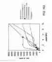 Fig. 455 - Factor IX:  Remodeling and Glycoconjugation of Factor IX