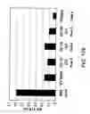Fig. 482 - Factor IX:  Remodeling and Glycoconjugation of Factor IX
