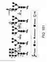 Fig. 486 - Factor IX:  Remodeling and Glycoconjugation of Factor IX