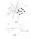 Fig. 07 - HEPATIC FIBROSIS DETECTION APPARATUS AND SYSTEM