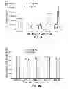Fig. 07 - Cell-matrix microspheres, methods for preparation and applications