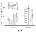Fig. 10 - Cell-matrix microspheres, methods for preparation and applications