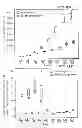 Fig. 15 - Cell-matrix microspheres, methods for preparation and applications