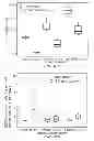 Fig. 16 - Cell-matrix microspheres, methods for preparation and applications