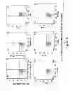 Fig. 04 - MULTIPOTENT STEM CELLS AND USES THEREOF