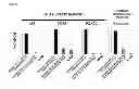 Fig. 03 - Method for preparing corneal endothelial cell