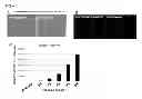 Fig. 05 - Method for preparing corneal endothelial cell