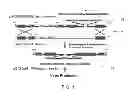 Fig. 02 - Constructs for making induced pluripotent stem cells