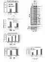 Fig. 08 - Constructs for making induced pluripotent stem cells
