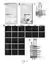 Fig. 10 - Constructs for making induced pluripotent stem cells