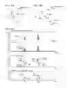 Fig. 06 - Optical analysis device, optical analysis method and computer program for optical analysis using single light-emitting particle detection
