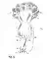Fig. 04 - Convertible flower doll