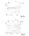 Fig. 03 - Meat inspection system