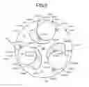 Fig. 06 - Coin hopper