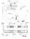 Fig. 02 - Method and apparatus for mitigating interference in a wireless communication system