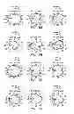 Fig. 04 - Diversity antenna module and associated method for a user equipment (UE) device