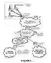 Fig. 04 - Integration of emergency alert information