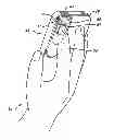 Fig. 01 - Image redirection system for mobile devices