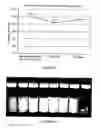 Fig. 05 - NOVEL COMPOSITE