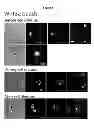 Fig. 02 - CHEMICALLY IMMOBILIZED WNT PROTEIN AND METHODS OF USE