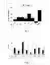 Fig. 04 - Nutritional supplement, method for increasing the bacterial mass in the rumen of a ruminant and nutritional preparation and corresponding uses