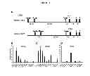 Fig. 02 - Methods for treating metabolic disorders using FGF