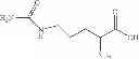 Fig. 06 - Pharmaceutical composition